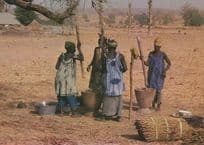 African Women Cooking Preparing A Meal Cookery Postcard