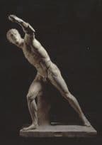 After Agasias Of Ephesus Borghese Gladiator 75BC Statue Postcard