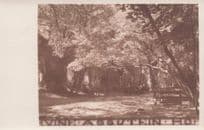 Aggstein Hops Wachau Melk Austria Old Rare Postcard