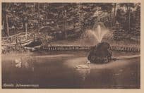 AK Apolda Partie AM Schwanenteich German Swans River Old Postcard