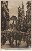 Ak Berghof Raupennest Altenberg Erzgebirge Austria RPC Postcard