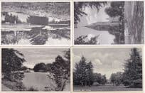 AK Herning Sondre Anlaeg Swans River Denmark 4x Old Postcard