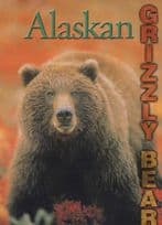 Alaska Alaskan Grizzly Bear at Denali National Wildlife Zoo Park USA Postcard