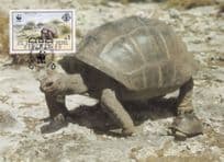Aldabra Giant Tortoise Seychelles Stunning WWF Stamp First Day Cover Postcard