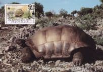 Aldabra Giant Tortoise Seychelles WWF Stamp First Day Cover Postcard