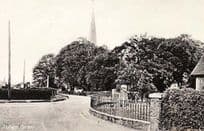 ALDHAM VILLAGE CORNER COLCHESTER ESSEX EARLY POSTCARD