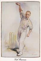 Alfred Percy Tich Freeman Kent England Cricket Painting Postcard