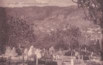 Algeria Alger Visite Au Cimetiere Arabe Le Vendredi Postcard