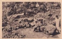 Algeria Kabylie Sortie De La Source De Mechtras Old Postcard