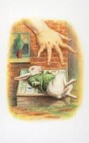 Alice Reaches To White Rabbit In Wonderland Book Postcard