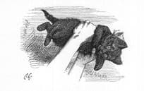 Alice Through The Looking Glass Black Cat Kitten Painting Postcard