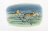 Alices Swimming With Mouse Adventures In Wonderland Book Postcard