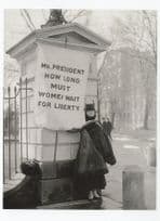 Alison Hopkins New Jersey Suffragette Picketing White House Postcard