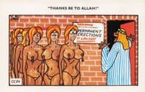 Allah Religious Politically Incorrect Many Wives Comic Postcard