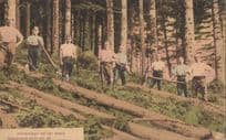 Allemagne Holzschläger Schwarzwald Bei Der Arbeit German Postcard