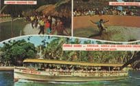 Alligator Wrestling Indian Trading Postcard Jungle Queen Ship Postcard