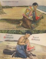 Alligator Wrestling Musa Isle Seminole Indian Village 2x Linen Postcard s