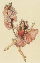 Almond Blossom Fairy from Flower Fairies WW2 Book Postcard