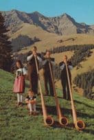 Alphornblaser Berner Oberland Swiss Switerland Postcard