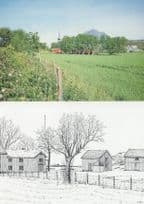 Alstahaug Bygdetun Norway 2x Postcard s