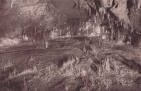 Altamira Cave Santander 2nd Second Caves Old Spain Spanish Postcard