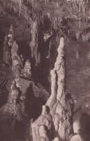 Altamira Cave Santander Second Caves Old Spain Postcard