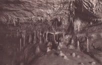 Altamira Cave Santander Second Caves Old Spain Spanish Postcard