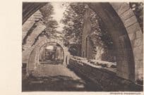 Alvastra Ruins Sweden Antique Postcard