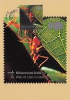 Amazing Strong Red Worker Ant Royal Mail FDC Postcard