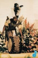 Amazulu Drummer African Postcard