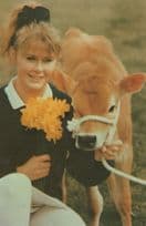 Amerton Farm Staffordshire Limited Edition Rare 1980s Postcard