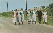 Amish Maidens Looking For Love USA Women 1970s Postcard