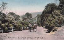 An Australian Bush Road Children Riding To School Old RPC Postcard
