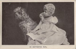 An Inattentive Pupil Dog Learning To Read RPC Postcard