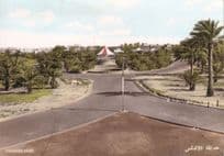 Andalus Park Iberian Peninsula Iberia Postcard