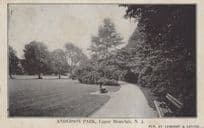 Anderson Park Upper Sinclair New Jersey Antique USA Postcard
