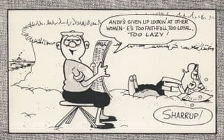 Andy Capp & Flo Newspaper On Beach Comic Seaside Humour Postcard