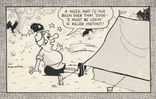 Andy Capp & Flo On Holiday Camping In Tent Comic Postcard