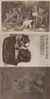 Angry Cat On Farm Antique Cats Dog & Greeting 3x Postcard s