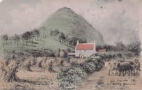 Angry Farmer & Cattle The Law North Berwick Phillimore Scottish Postcard