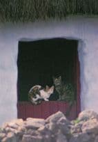 Angry Irish Dublin Hissing Cat Postcard