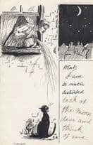 Angry Neighbour Throwing Water On Black Cat Wailing Old Comic Postcard