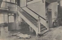 Animal Doormat The Hall Kent Open Air School Antique Postcard