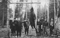 Animal Hunting Bear Trophy at Silver Creek Lodge Michigan USA Old RPC Postcard