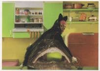 Anja Carr Moments Cats Musical Style Horror Photo Radio Postcard