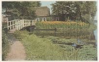 Ankeveen Holland Vintage River Reflections Dutch Postcard