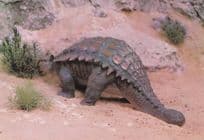 Ankylosaurus Dinosaur Rare Painting Postcard