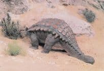 Ankylosaurus Dinosaur Rare Prehistoric Painting Postcard