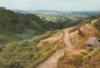 Anne Bronte The Valley Of The Falls Yorkshire Moor Moors 1970s Haworth Postcard