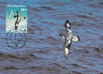 Antarctic Cape Petrel Bird WWF Stamp First Day Cover Postcard